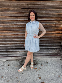 Charlotte Mini Dress