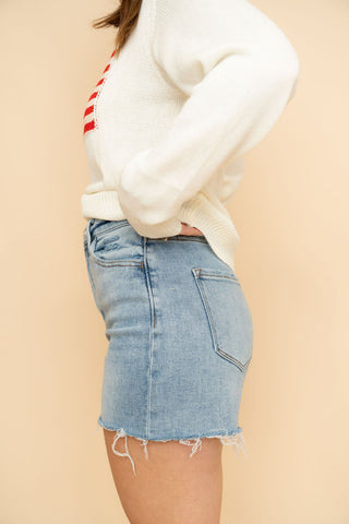 Vervet High Rise Shorts - Light Wash