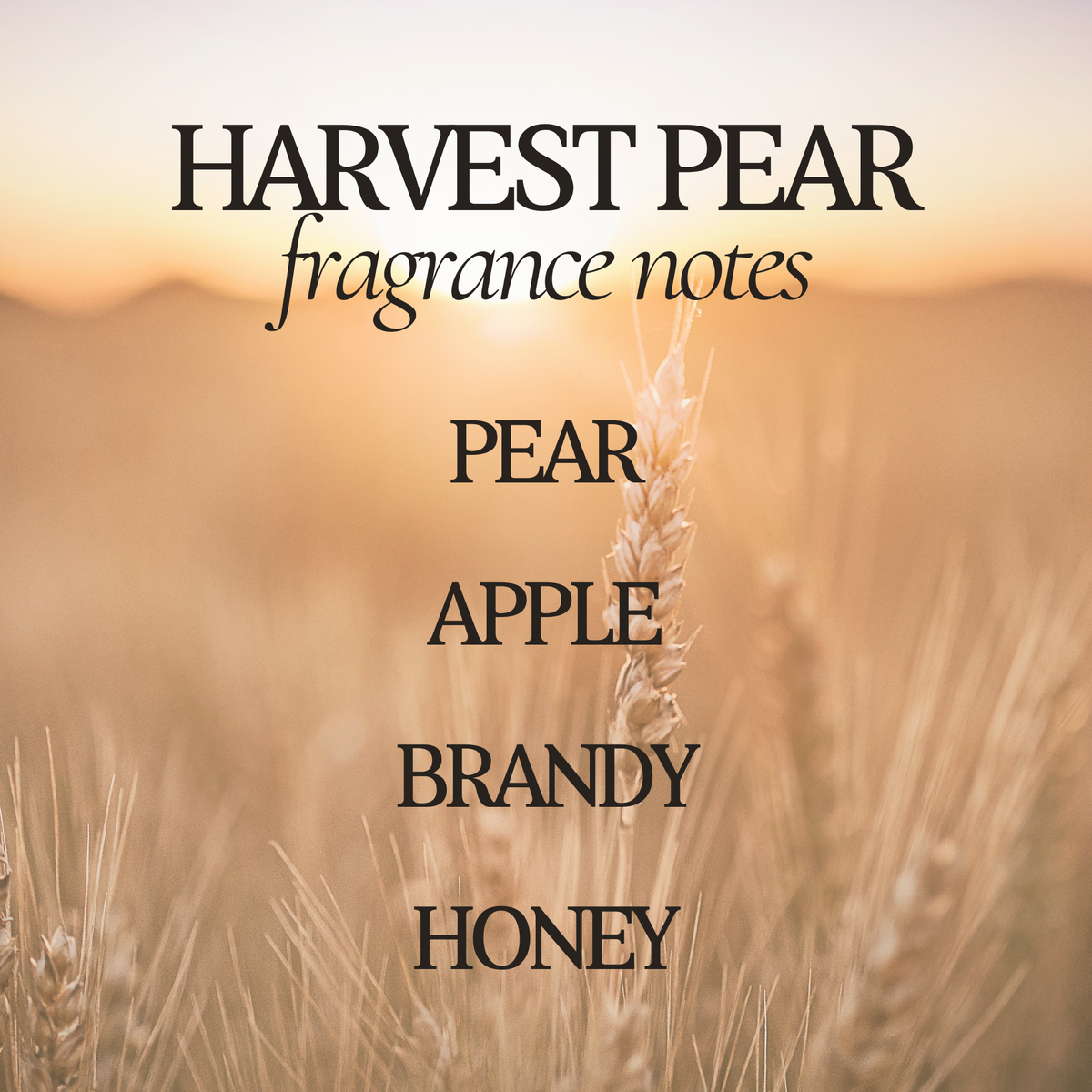 Harvest Pear 12 oz Soy Candle