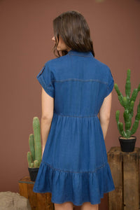 Darla Chambray Mini Dress