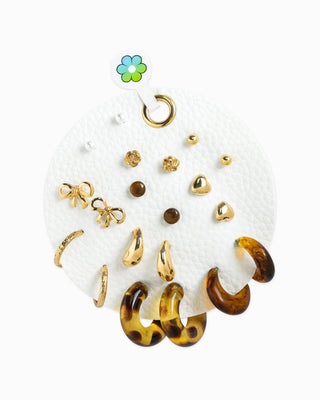 Leopard Resin Hoop Earrings set of 10 - Wild Lavender Boutique